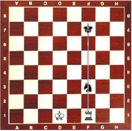 Scacchiera con pezzi neri e bianchi in una posizione finale di scacchi, con il re nero in posizione di scacco e il re bianco a sinistra.