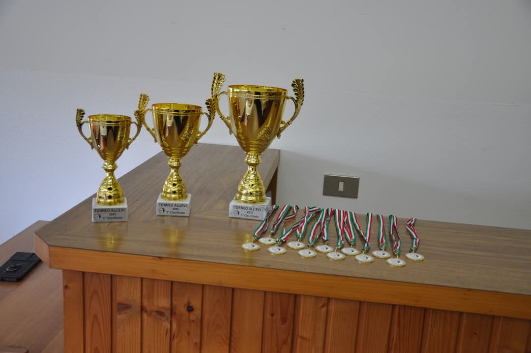 Tre trofei d'oro e medaglie disposte su un tavolo di legno.