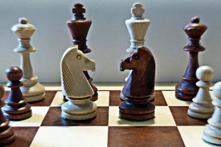 MS: on line il numero 1194