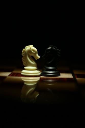 two white and black chess knights facing each other on chess board