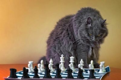 abbas and chess by erkankalenderli d4g8tme-350t (1)